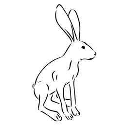 Hare